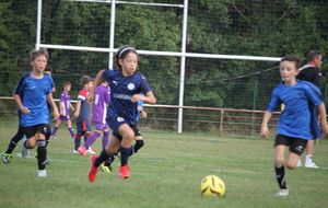 68e6b2cbe0ced_IMG4156.JPG