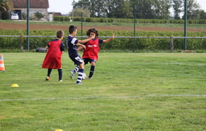 68e6b4d93d2d8_IMG4200.JPG