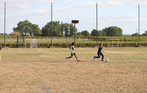 6ab7d58d3d56a_IMG7938.JPG