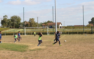 6ab7d5989b757_IMG7937.JPG