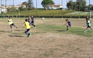 6ab7d5a56855f_IMG7936.JPG