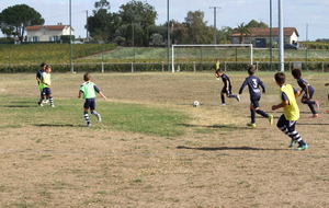 6ab7d5b175f15_IMG7934.JPG