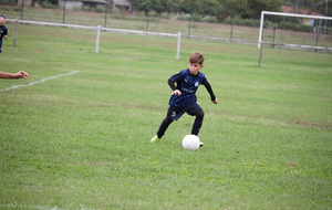 6acb331092087_IMG8116.JPG