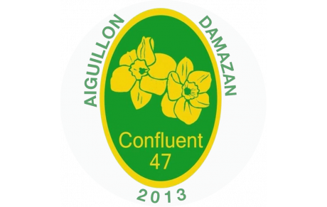 CONFLUENT FOOT 47